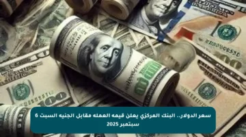 سعر الدولار.. البنك المركزي يعلن قيمة العملة مقابل الجنيه السبت 6 سبتمبر 2025